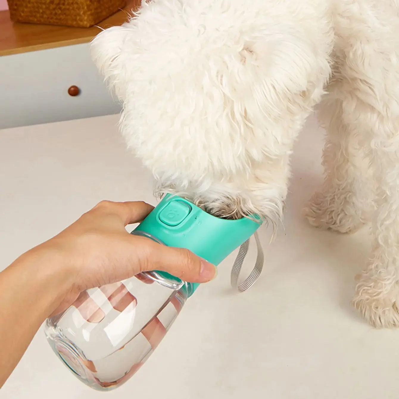 Holapet Tragbare Wasserflasche für große Hunde für kleine  Hunde